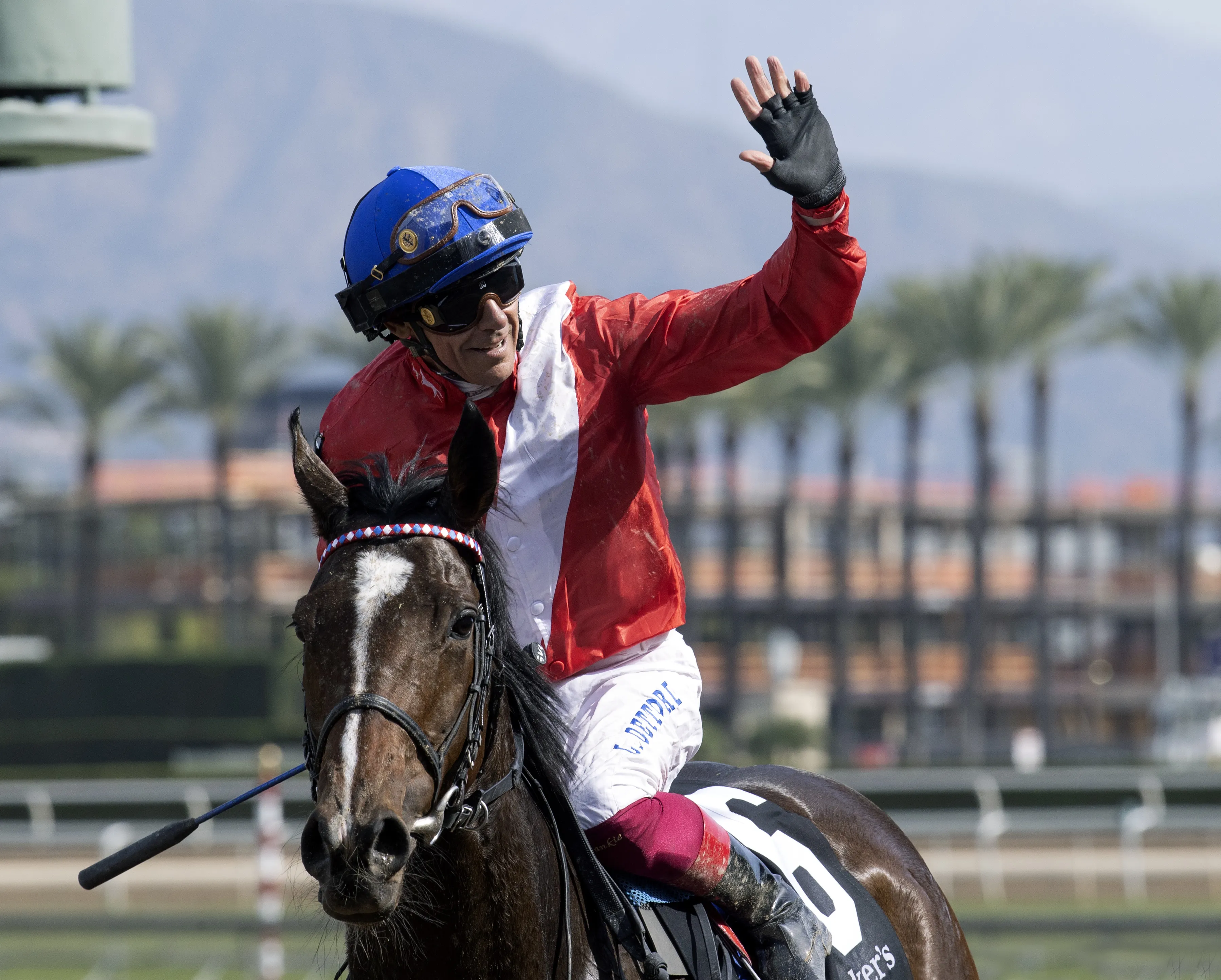 Inspiral.Dettori,Frankie02.11-4-23.BL_.jpg