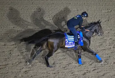 Baffert will be tough to beat in Santa Ynez