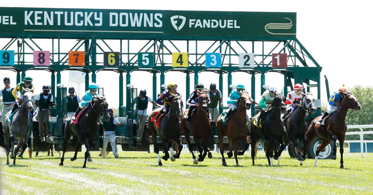 DRF Horse Racing Past Performances and Expert Picks