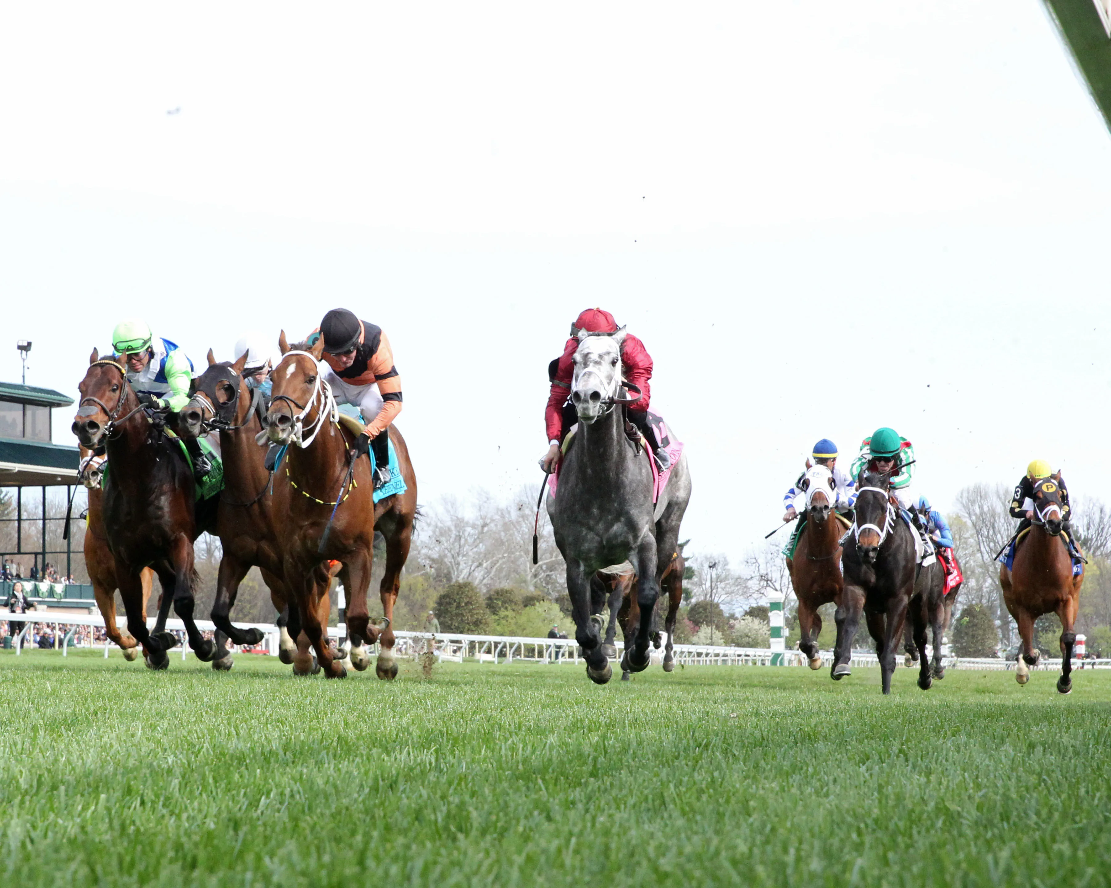 CARAVEL - The Shakertown G2 - 27th Running - 04-08-23 - R08 - Keeneland Race Course - Under Rail 01.jpg