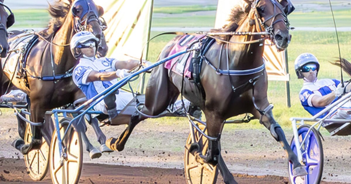 Red Mile: Beautiful Memory surprises in Kentucky Championship Series
