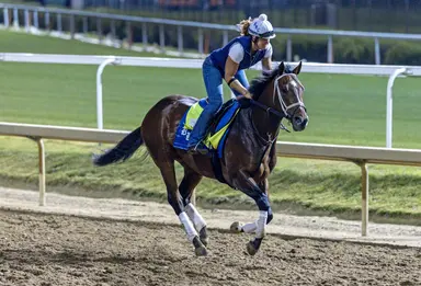 How to bet the 2026 Kentucky Derby with $100