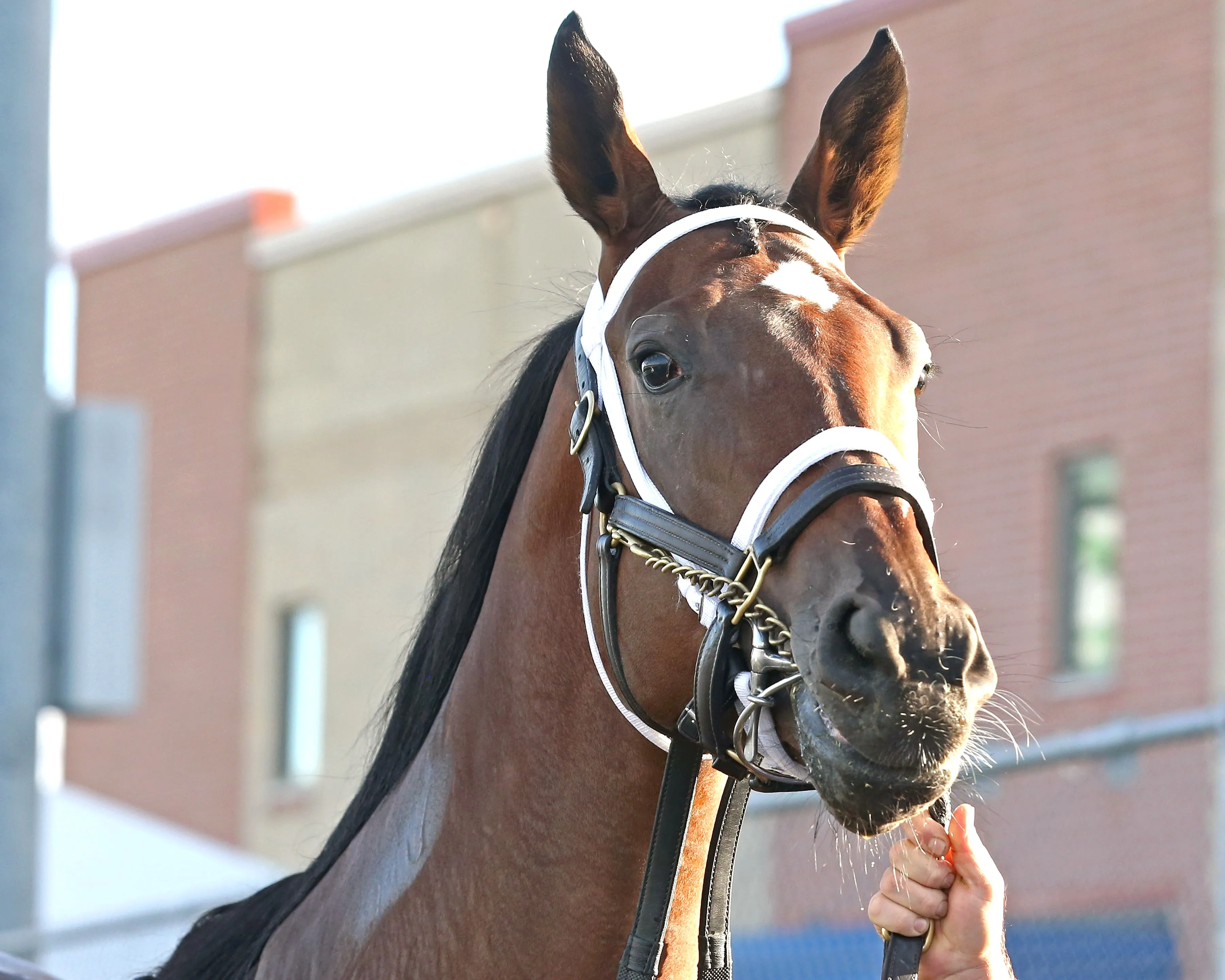 Candy Reward at PID Oct 7 2024