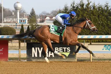 Dazzling Dame takes early lead, keeps it in Busanda Stakes