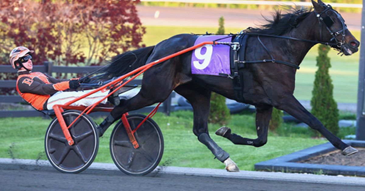 Woodbine Mohawk Park: Sprite Seelster surprises in OSS Gold Series