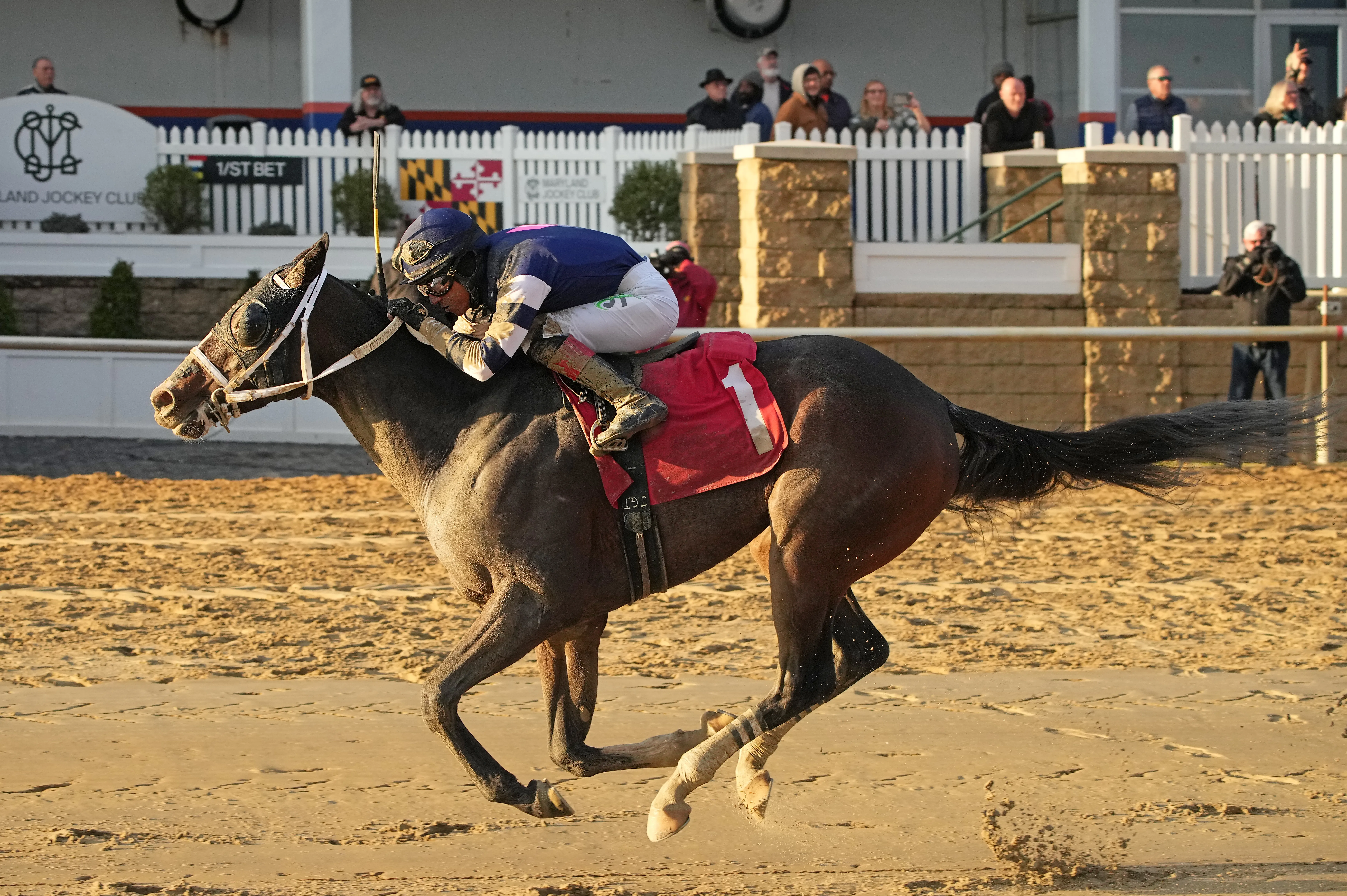Race8RichardSmallStakes.jpg