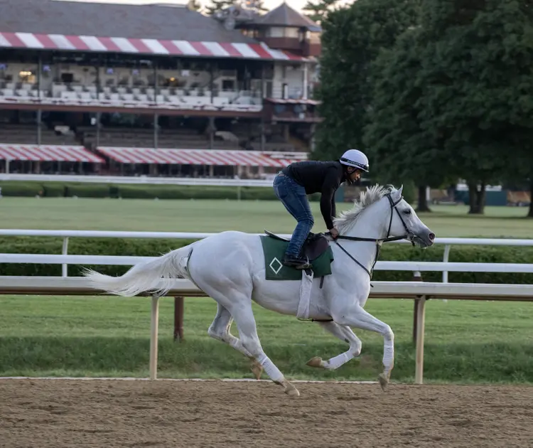 Arthur's Ride.7-23-25.BL_.jpg