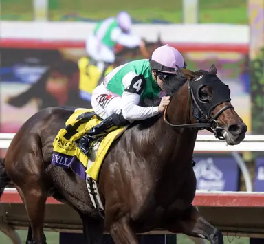 2025 Eclipse Awards: Scylla