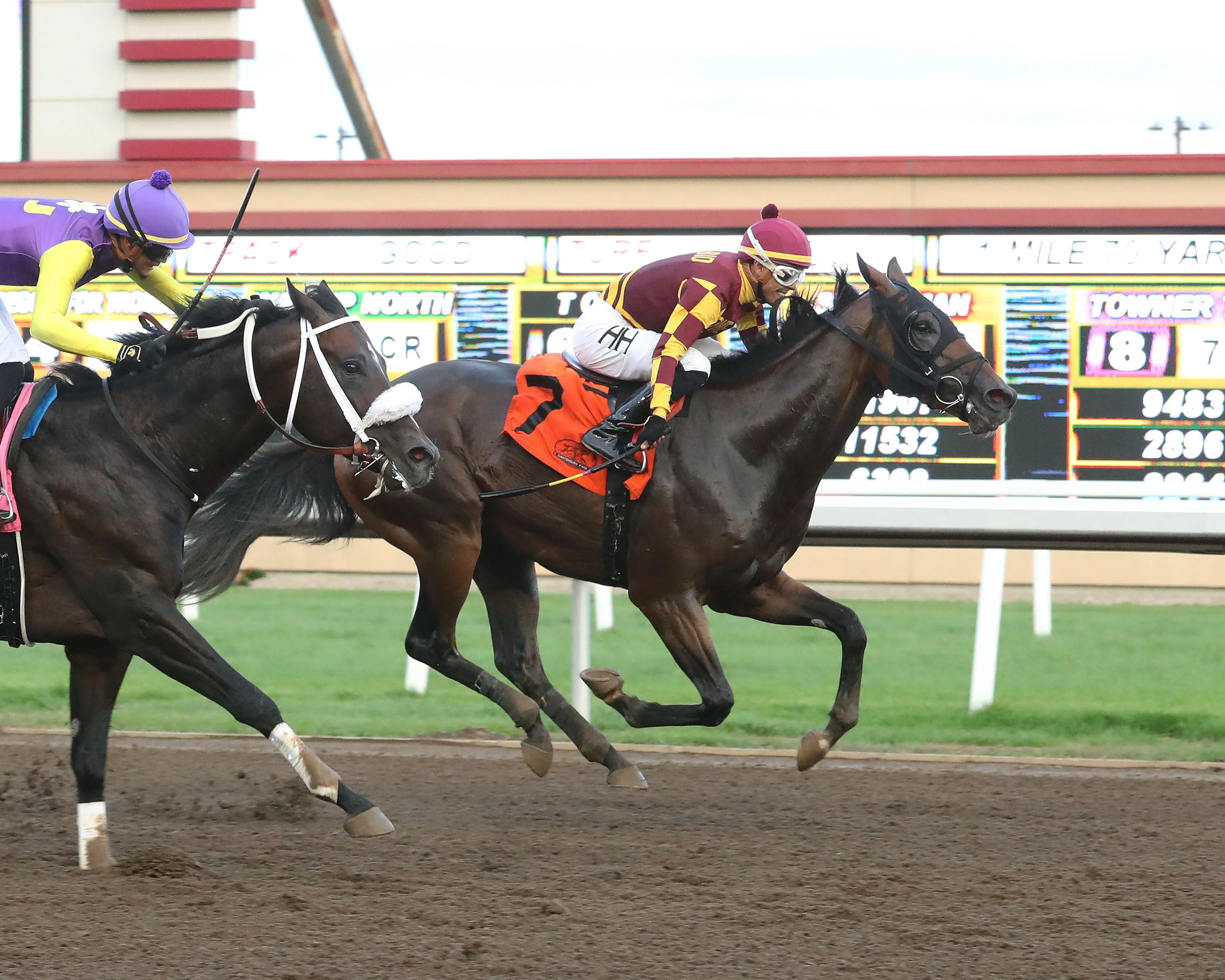 SUSHI MAN - Minnesota Derby - 08-09-25 - R06 - Canterbury Park - Finish.jpg