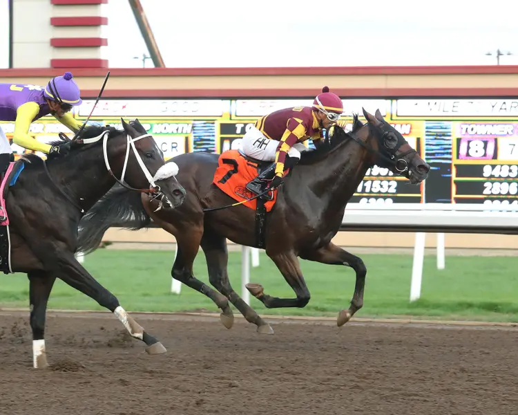 SUSHI MAN - Minnesota Derby - 08-09-25 - R06 - Canterbury Park - Finish.jpg
