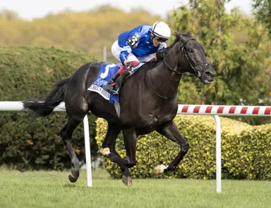 2025 Eclipse Awards: Rebel's Romance