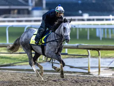 Kentucky Derby: Fulleffort scratches, Ocelli draws in