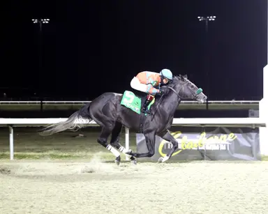 Hometown Bound takes Turfway Prevue in stakes debut