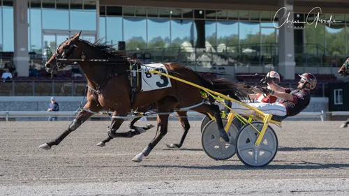 Always Ana Hanover 10-3-24