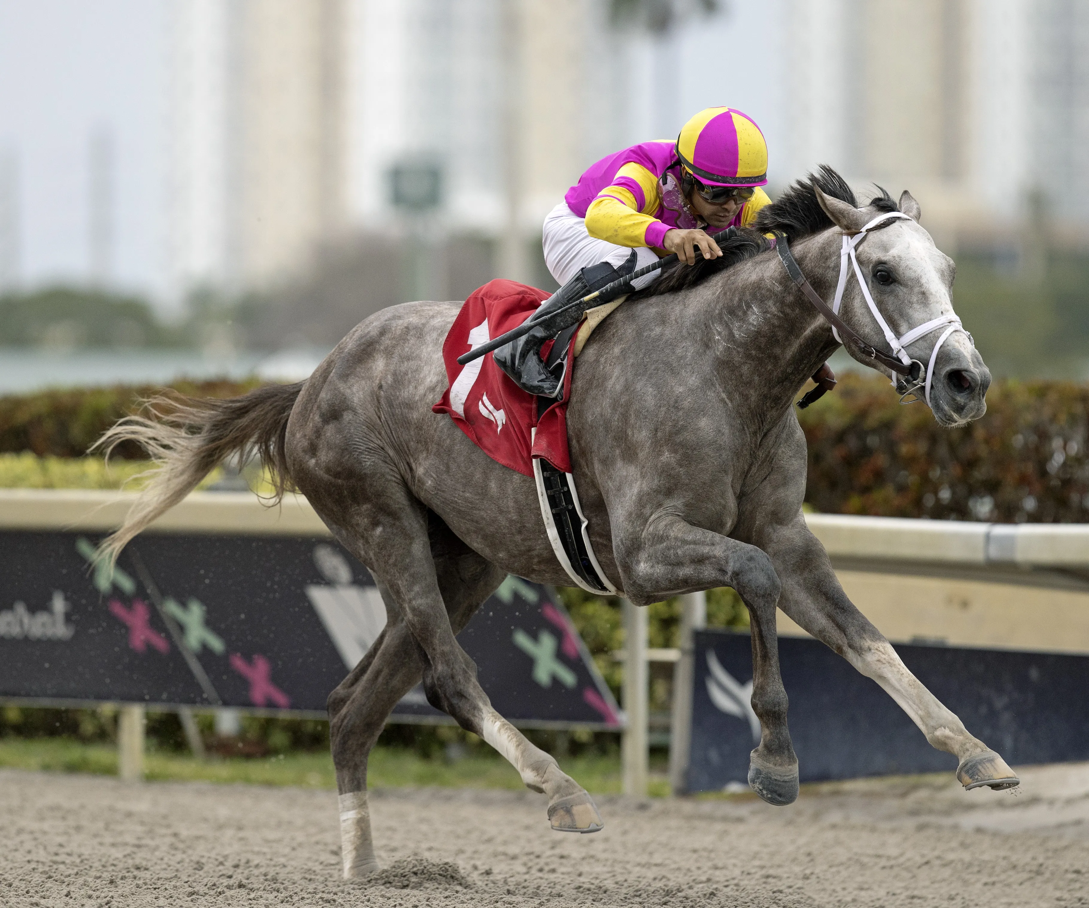 Tapit Trice - Gulfstream Park