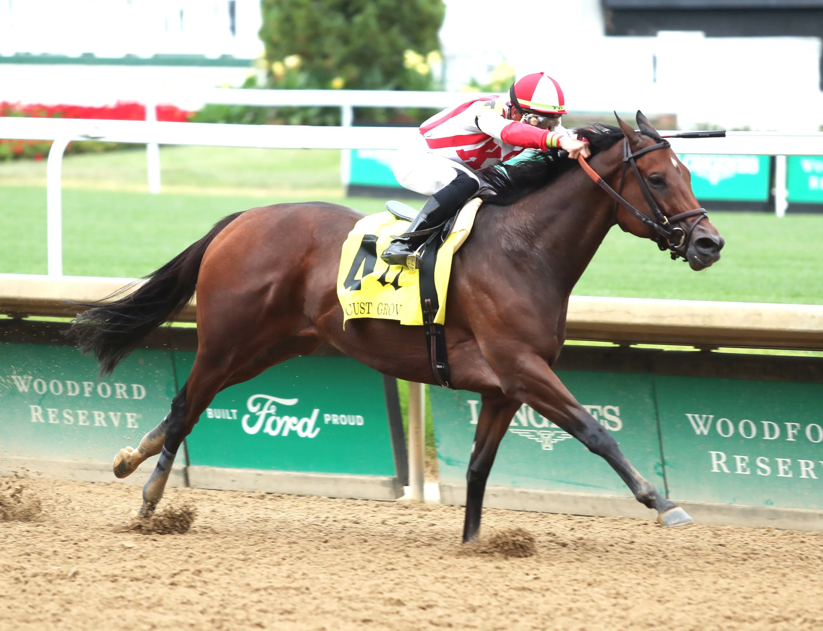 Search Results wins the Locust Grove at CD Sept 16 2023