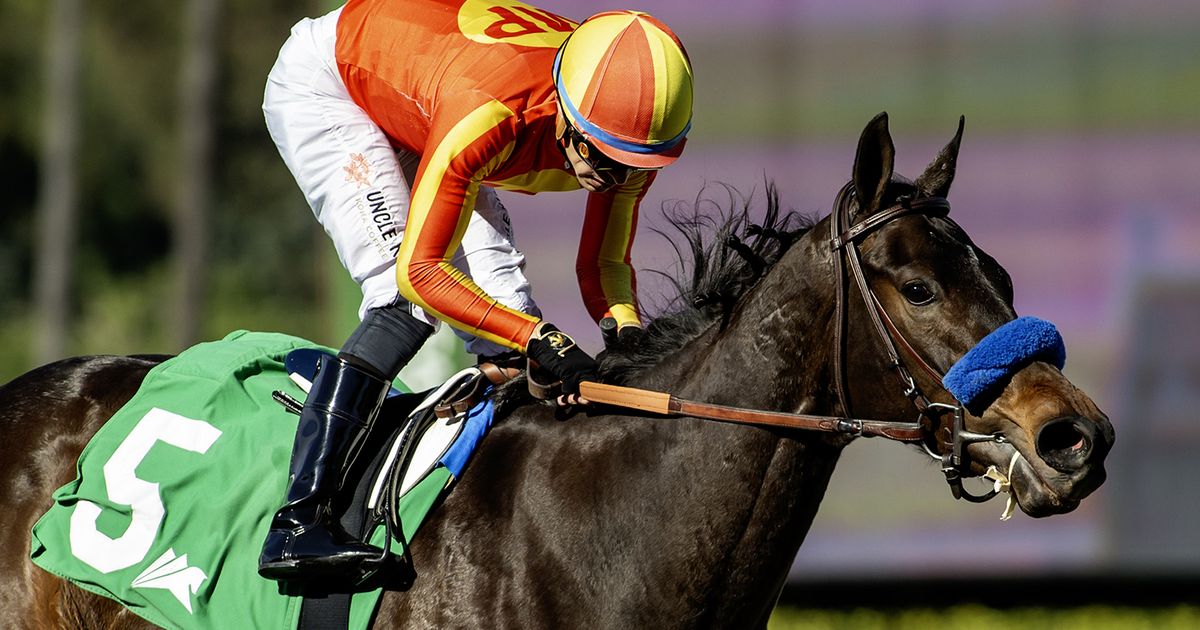 Explora shows off fine form in Santa Ynez Stakes
