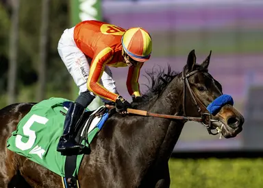 Explora shows off fine form in Santa Ynez Stakes