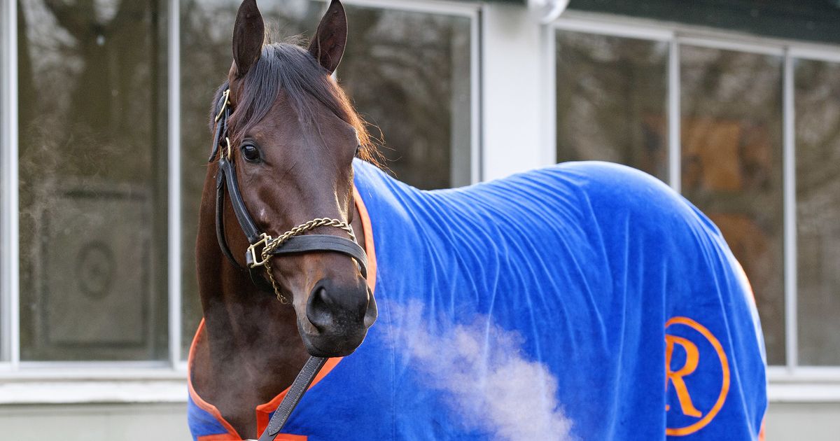 Uncle Mo left his mark on Thoroughbred racing