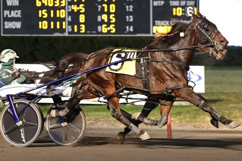 Allywag Hanover 11-25-23