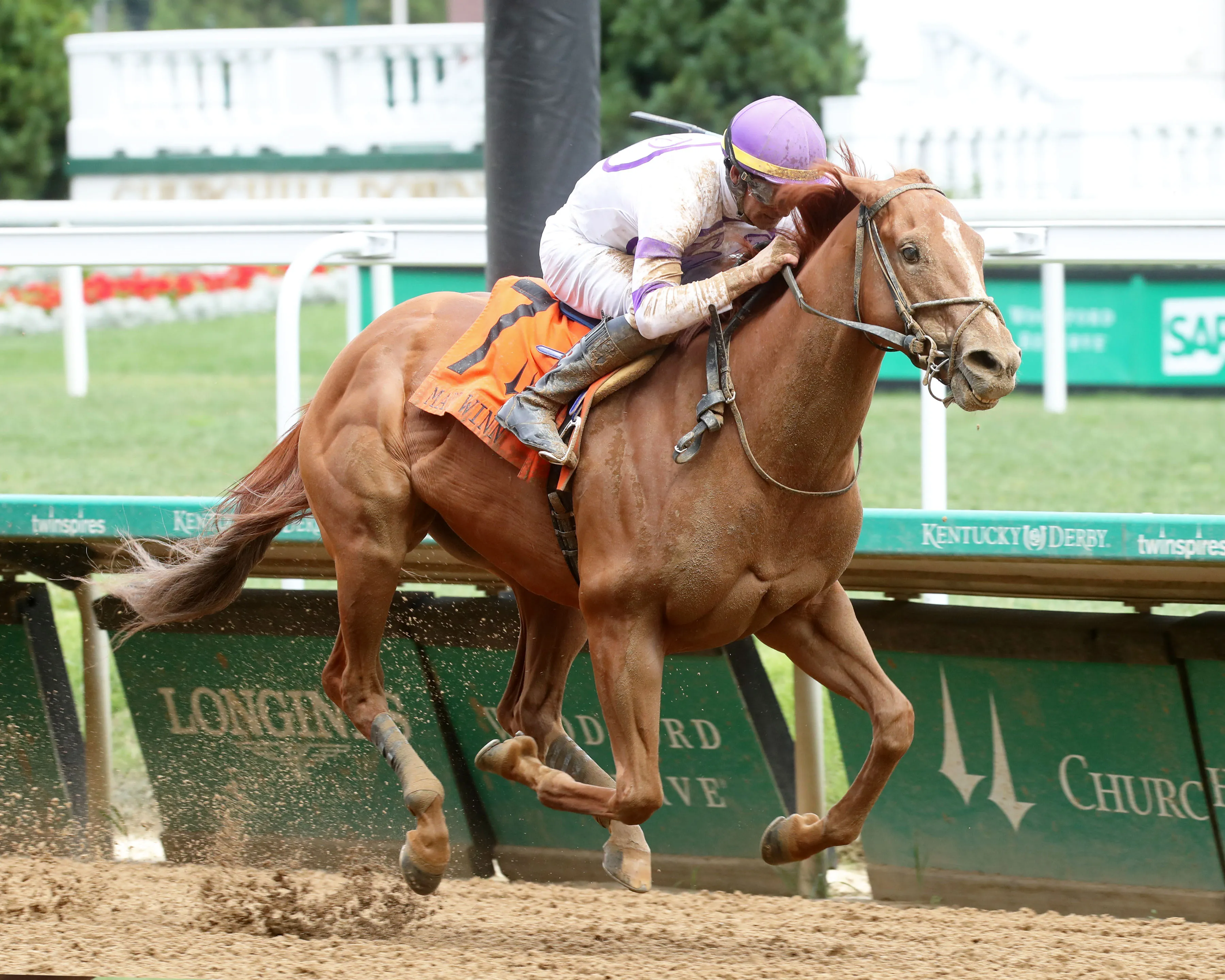 SOCIETY MAN - The Matt Winn G3 - 27th Running - 06-09-24 - R08 - Churchill Downs - Finish 02 - Renee Torbit.jpg