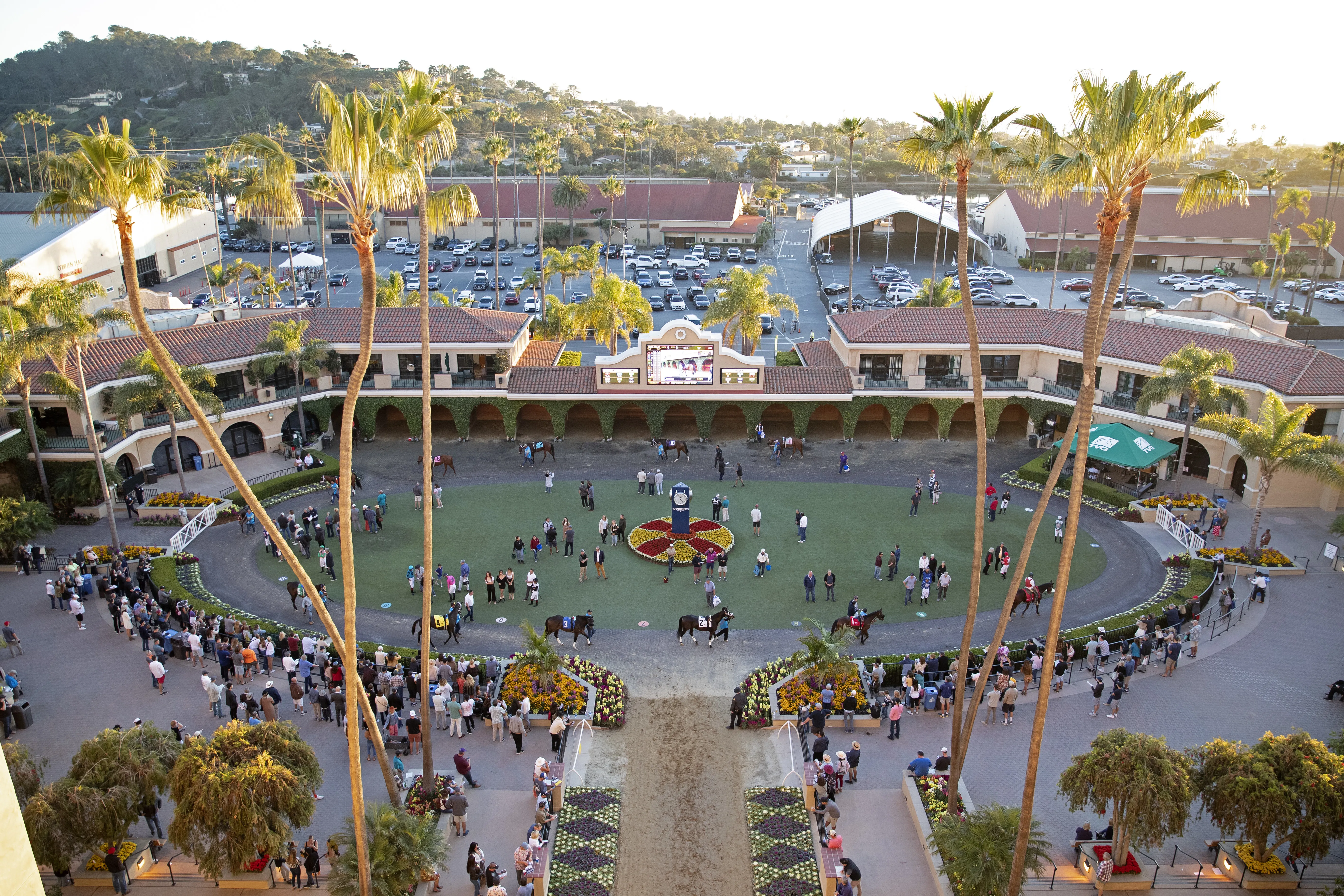 DMR.scenic.paddock01.11-26-21.BL_.jpg