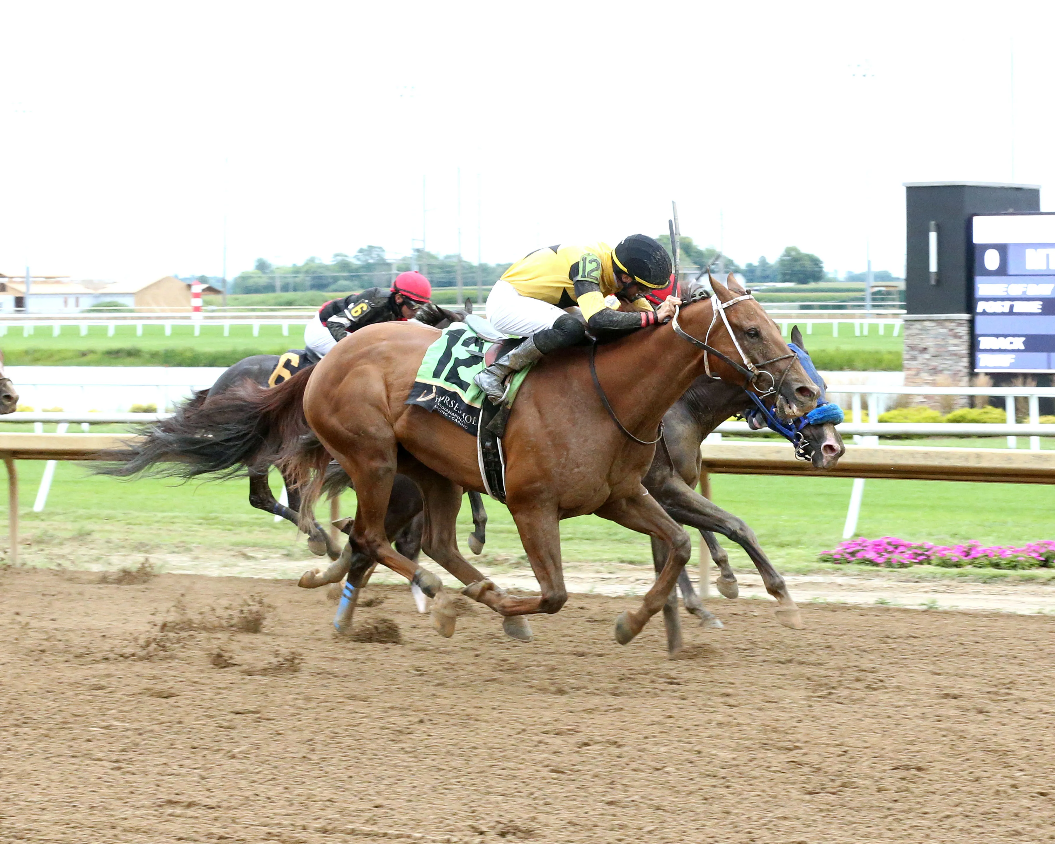 RUN AWAY ROJO - The Bucchero - 21st Running - 08-20-25 - R08 - Horseshoe Indiana - Finish 01 - Sammantha Pagels.jpg