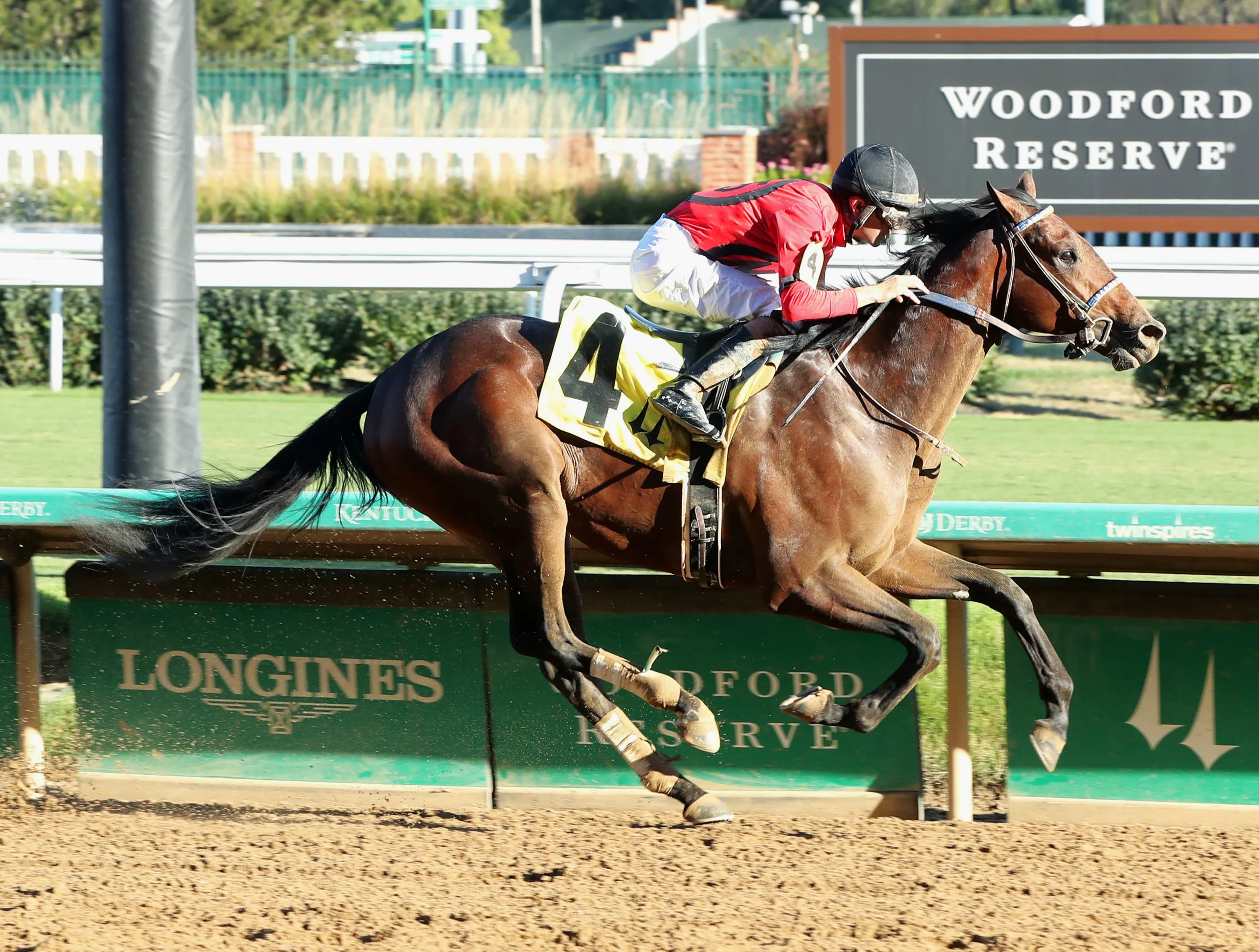 Handsome Pants wins maiden at CD Sept 14 2024
