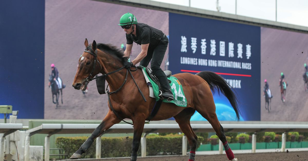 Luke Middlebrook's Hong Kong Selections and Analysis for Sunday ...