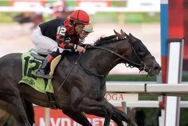 Ortiz, TriStar riding high with Doc Sullivan Moe Eighty Eight