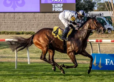 Last-out winner Big Trouble could be a risky play in Menard Memorial