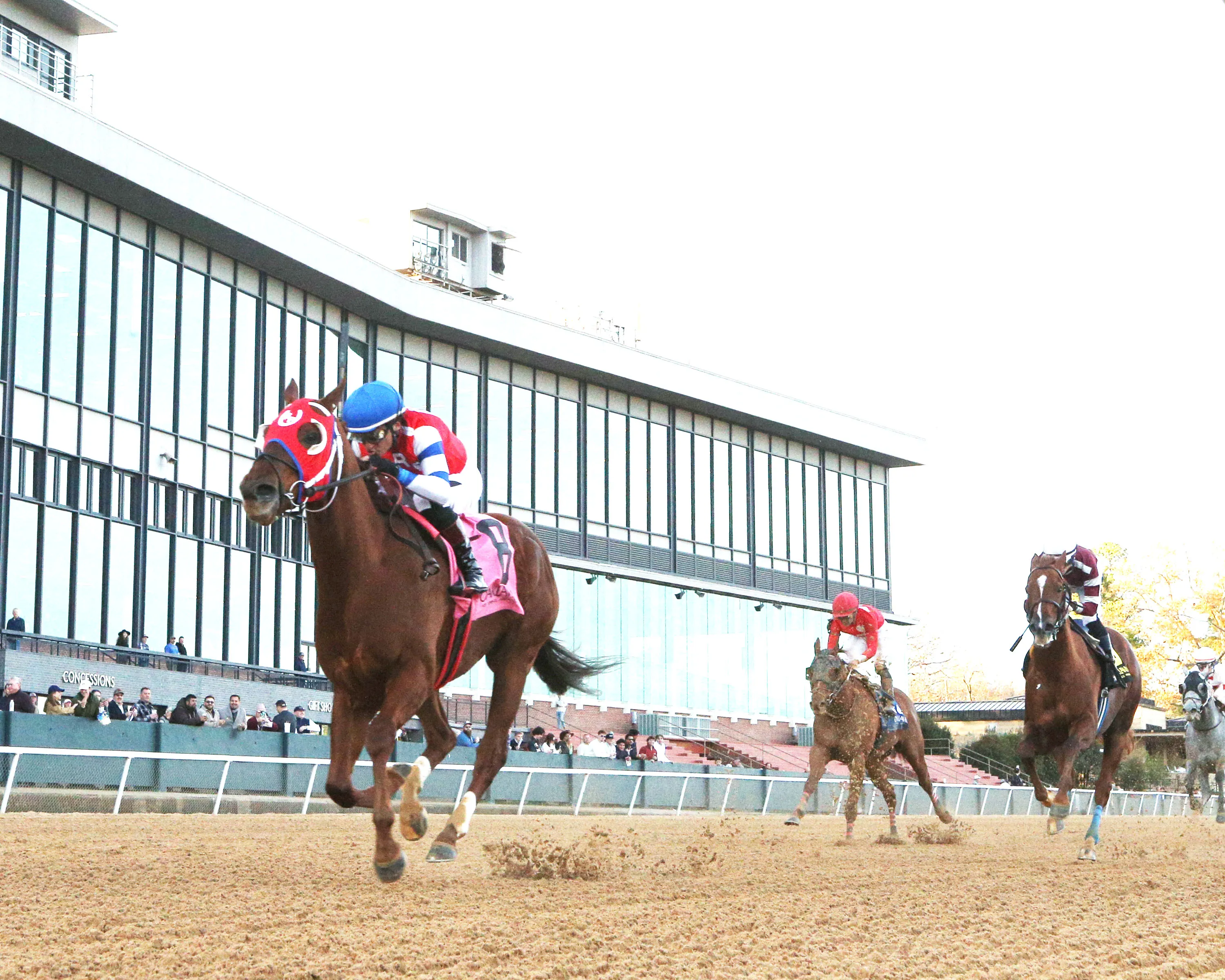 DREAMINBLUE - SILKS OVERNIGHT STAKES - 1st Running  - 12-19-25 - R09 - Oaklawn Park - Under Rail 01 - John Gallagher.jpg