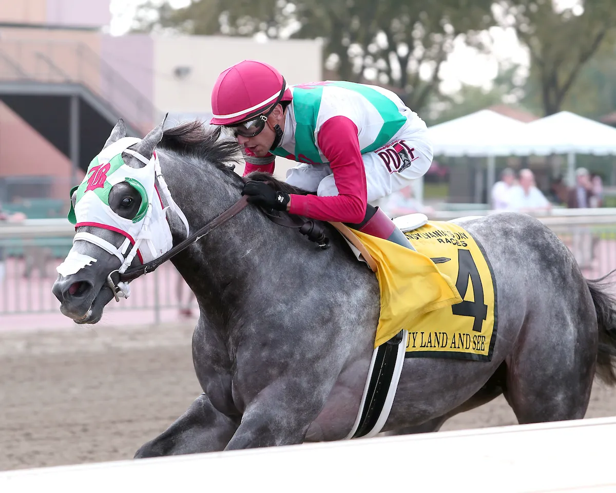 Buy Land and Sea wins Storm Cat at Parx Aug 21 2023