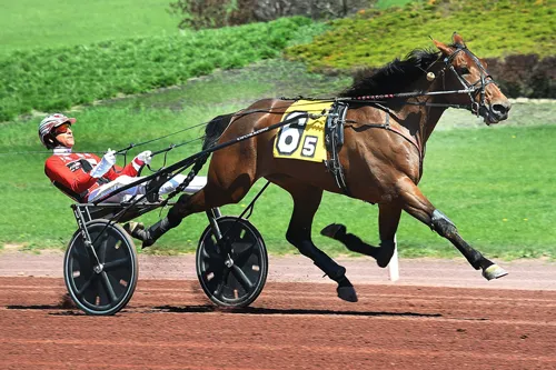 Usain Hanover 4-25-24