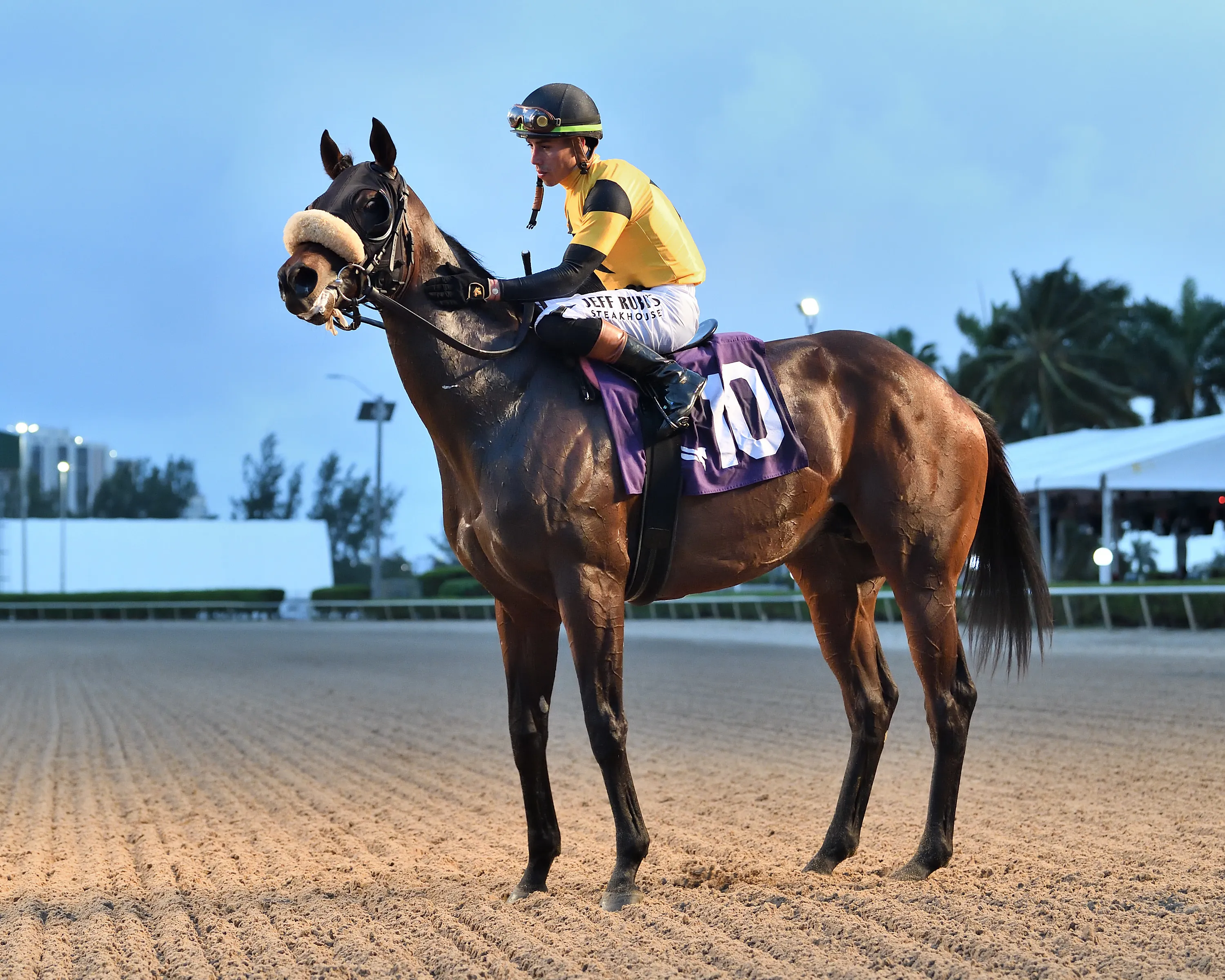 Cugino03.12.14.24.RTCP_.jpg