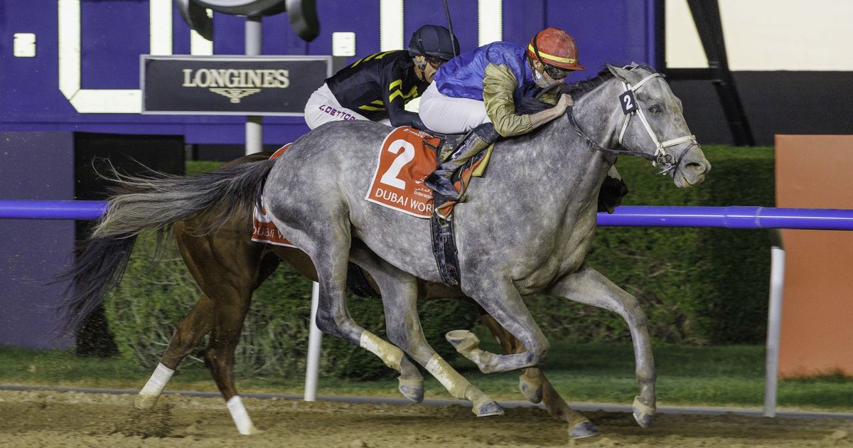 Cox hoping top fillies can rebound as he sorts out older dirt runners