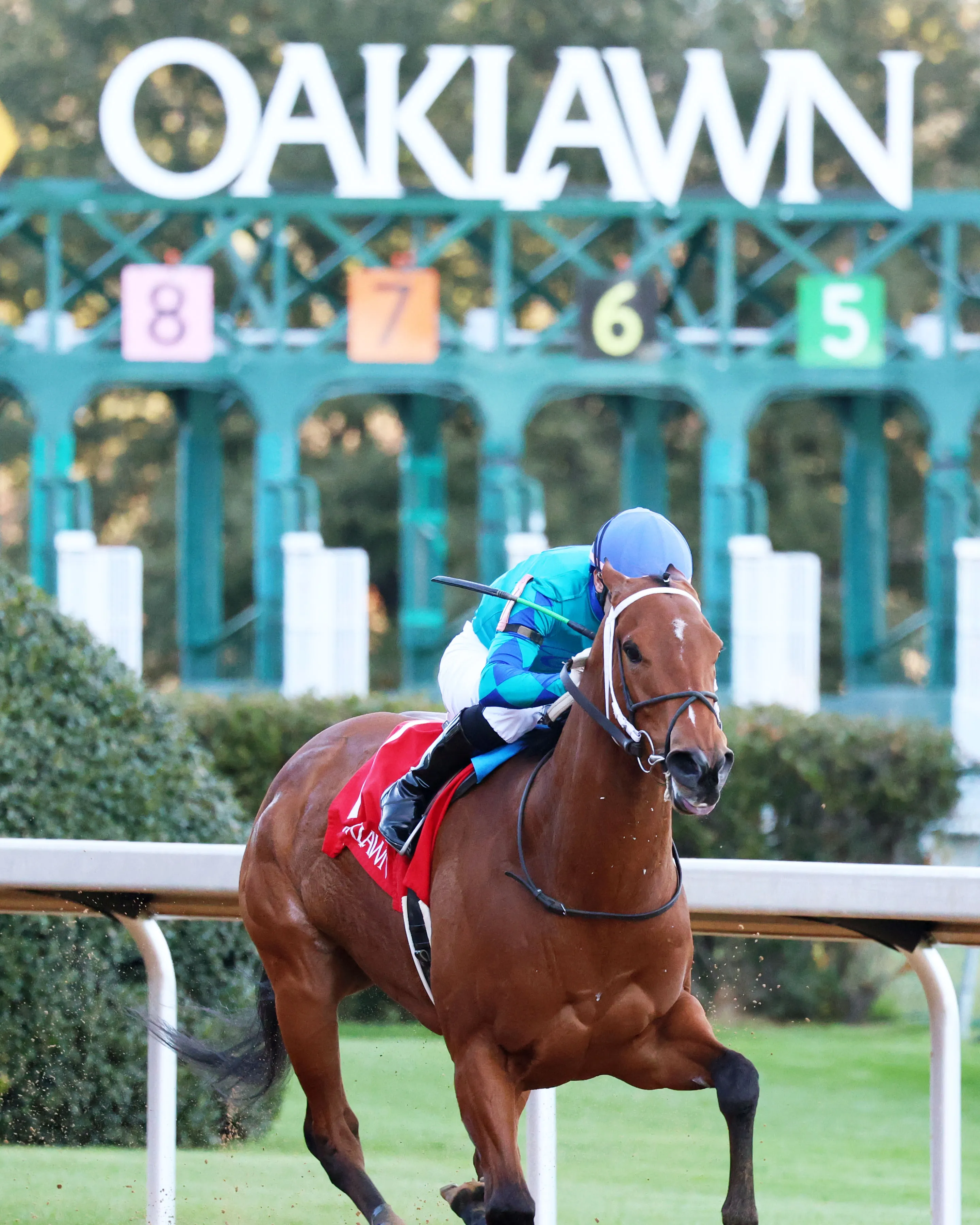 HIGH CLASS - The Poinsettia Stakes - 2nd Running - 12-30-23 - R09 - Oaklawn Park - Finish 03 - Holly Smith.jpg