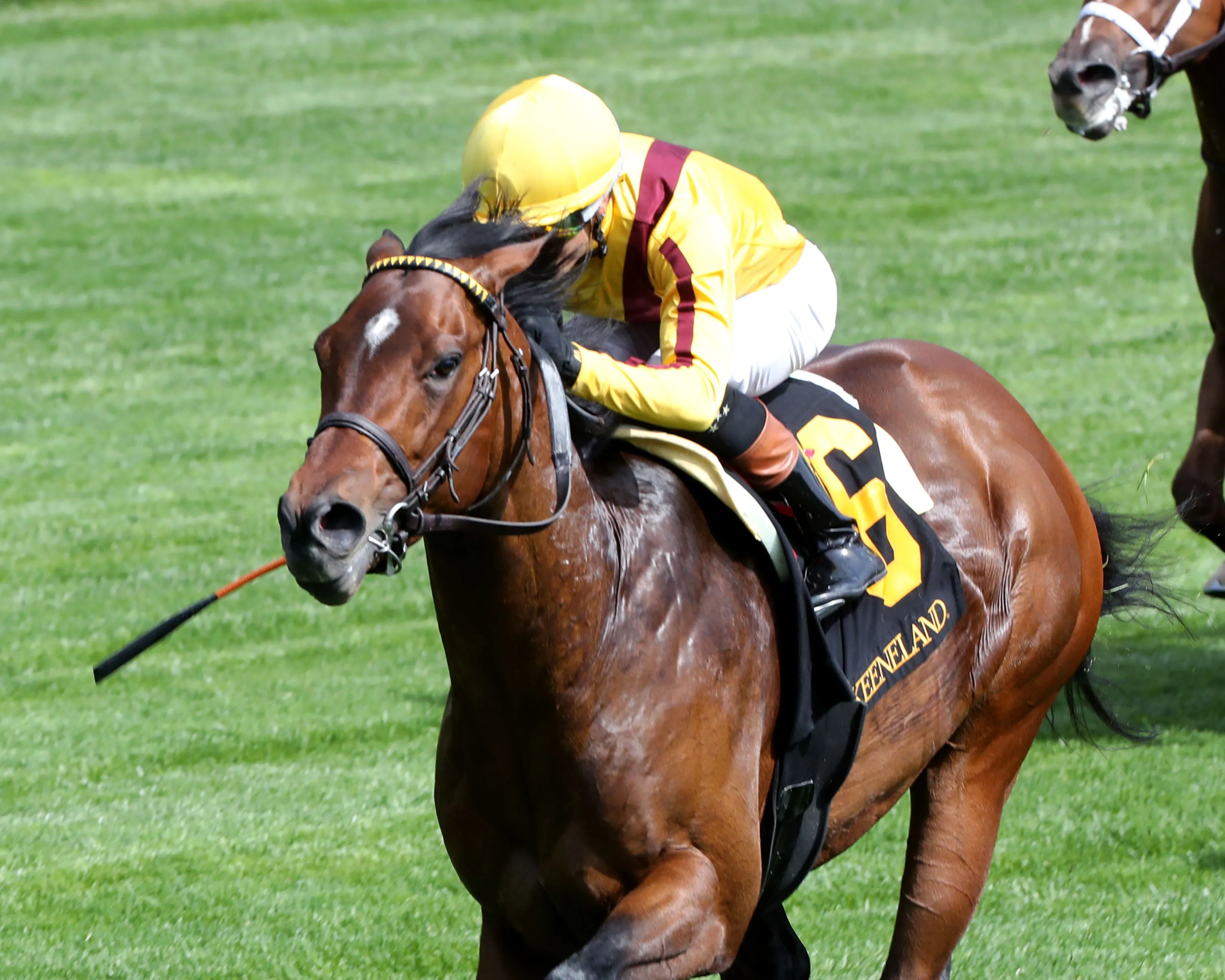 FANDOM - The Palisades - 04-07-24 - R07 - Keeneland Race Course - Inside Finish 03 - John Gallagher.jpg