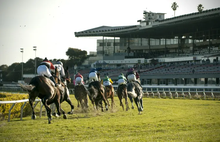 GG.scenic.grandstand01.12-31-16.SMIV_.jpg
