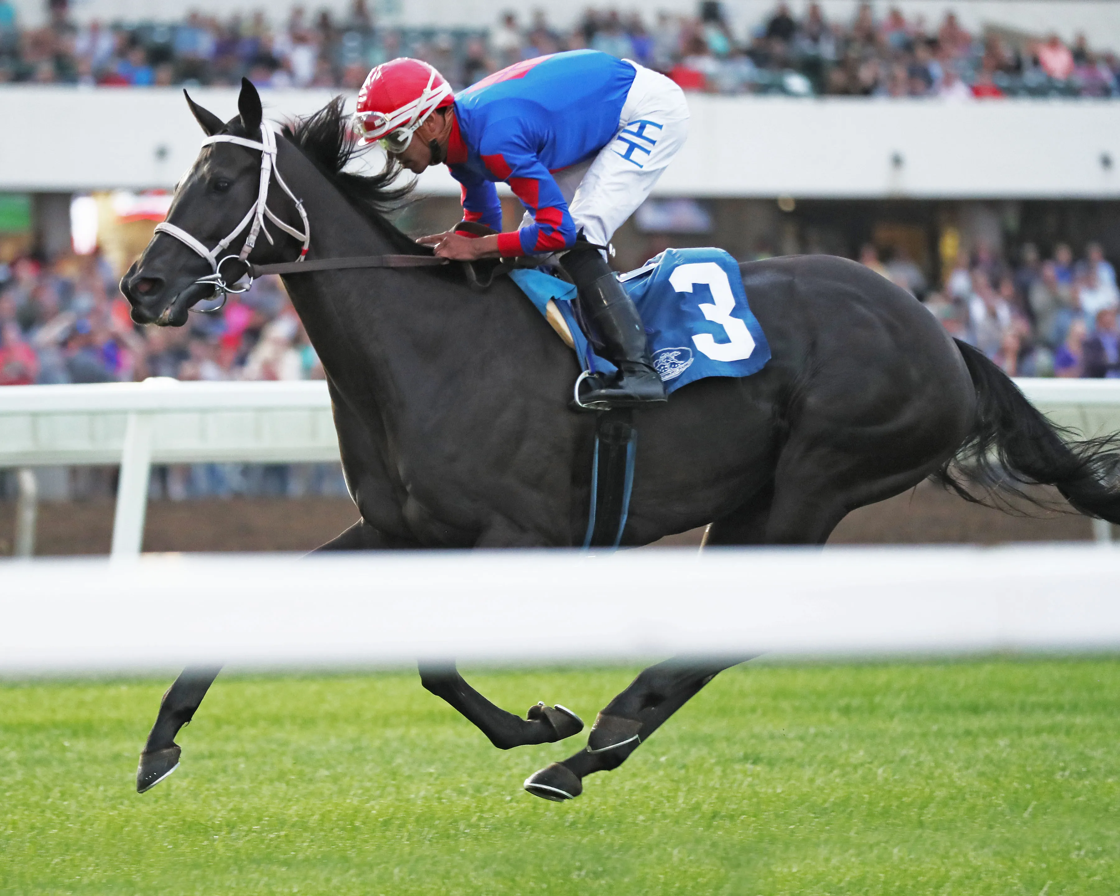 MIDNIGHT CURRENT - Princess Elaine Minnesota Distaff Turf Championship - 09-09-23 - R06 - Canterbury Park - Inside Finish.jpg