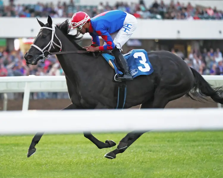 MIDNIGHT CURRENT - Princess Elaine Minnesota Distaff Turf Championship - 09-09-23 - R06 - Canterbury Park - Inside Finish.jpg