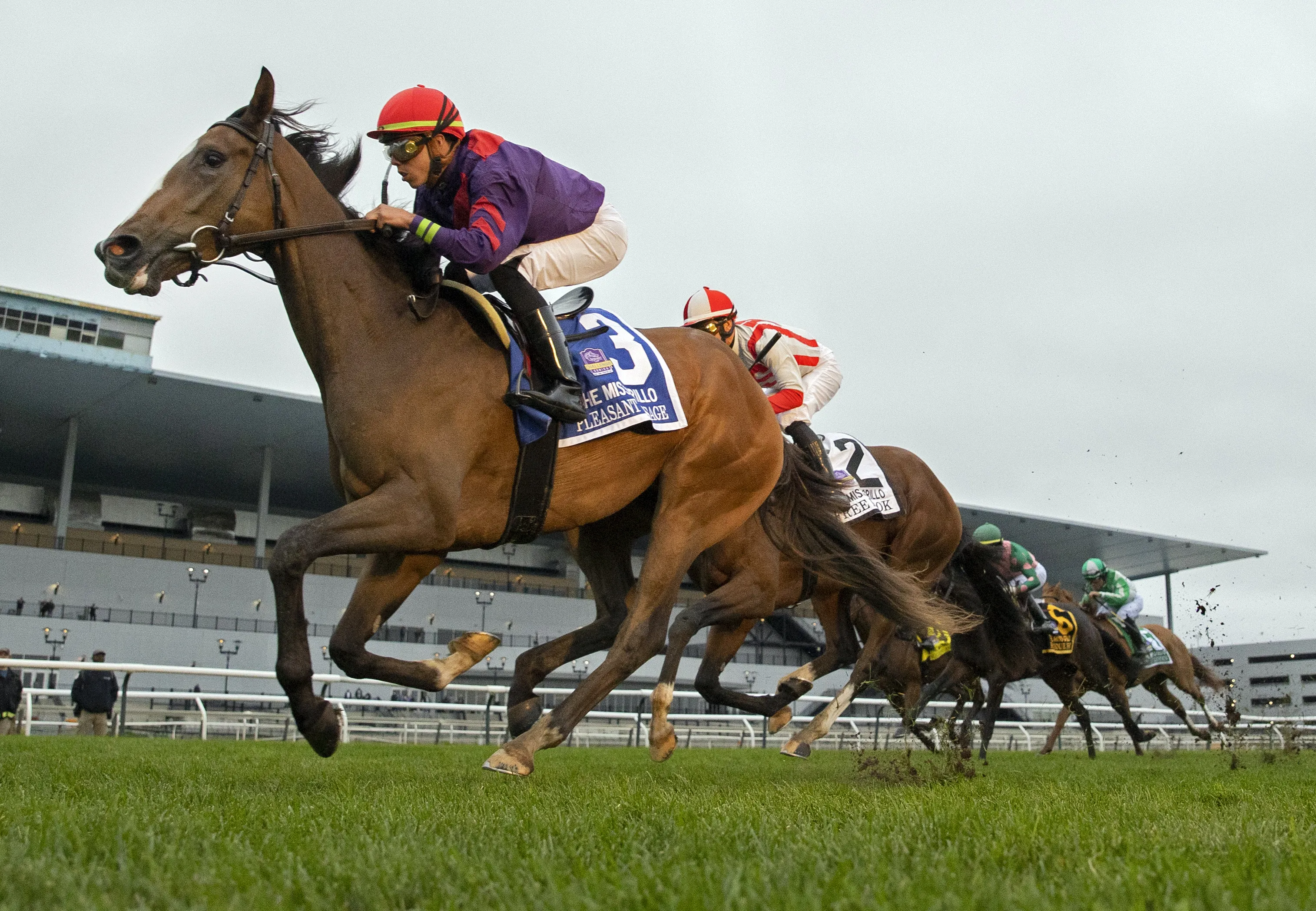 Pleasant Passage wins Miss Grillo 10-2-2022