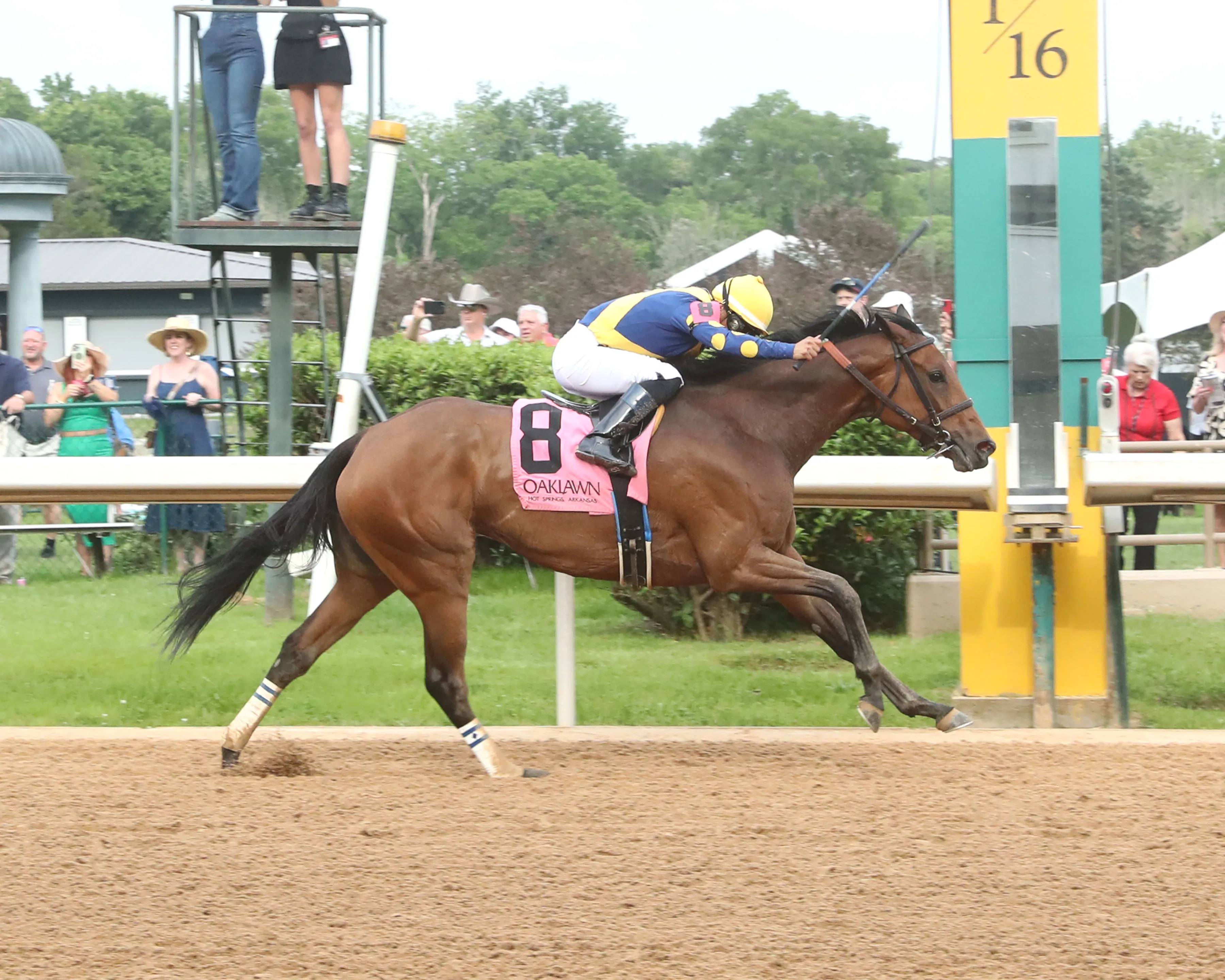 MAJESTIC OOPS - The Dig A Diamond Stakes - 3rd Running - 04-26-25 - R10 - Oaklawn Park - Finish 01 - Cheyann Jaramillo.jpg
