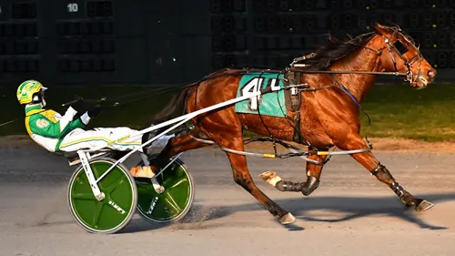 Gaitway Guy 12-7-23