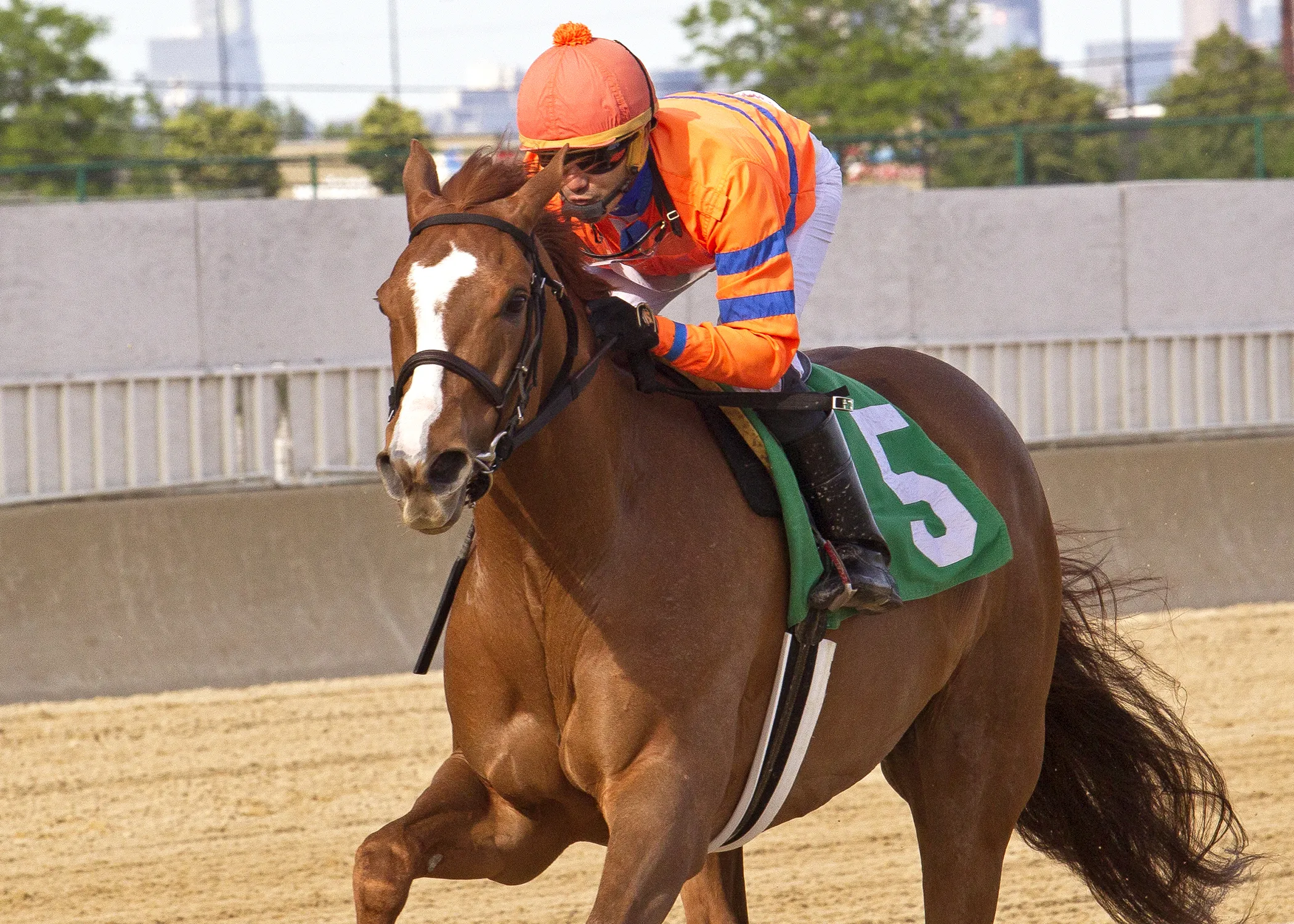 5-19STAKE08.jpg