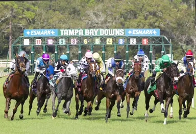 String of longshots triggers $83,237 carryover in Friday's late pick five