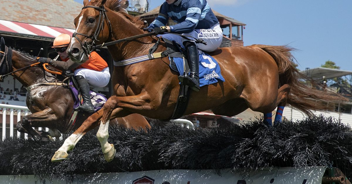 2023 Eclipse Awards: Awakened