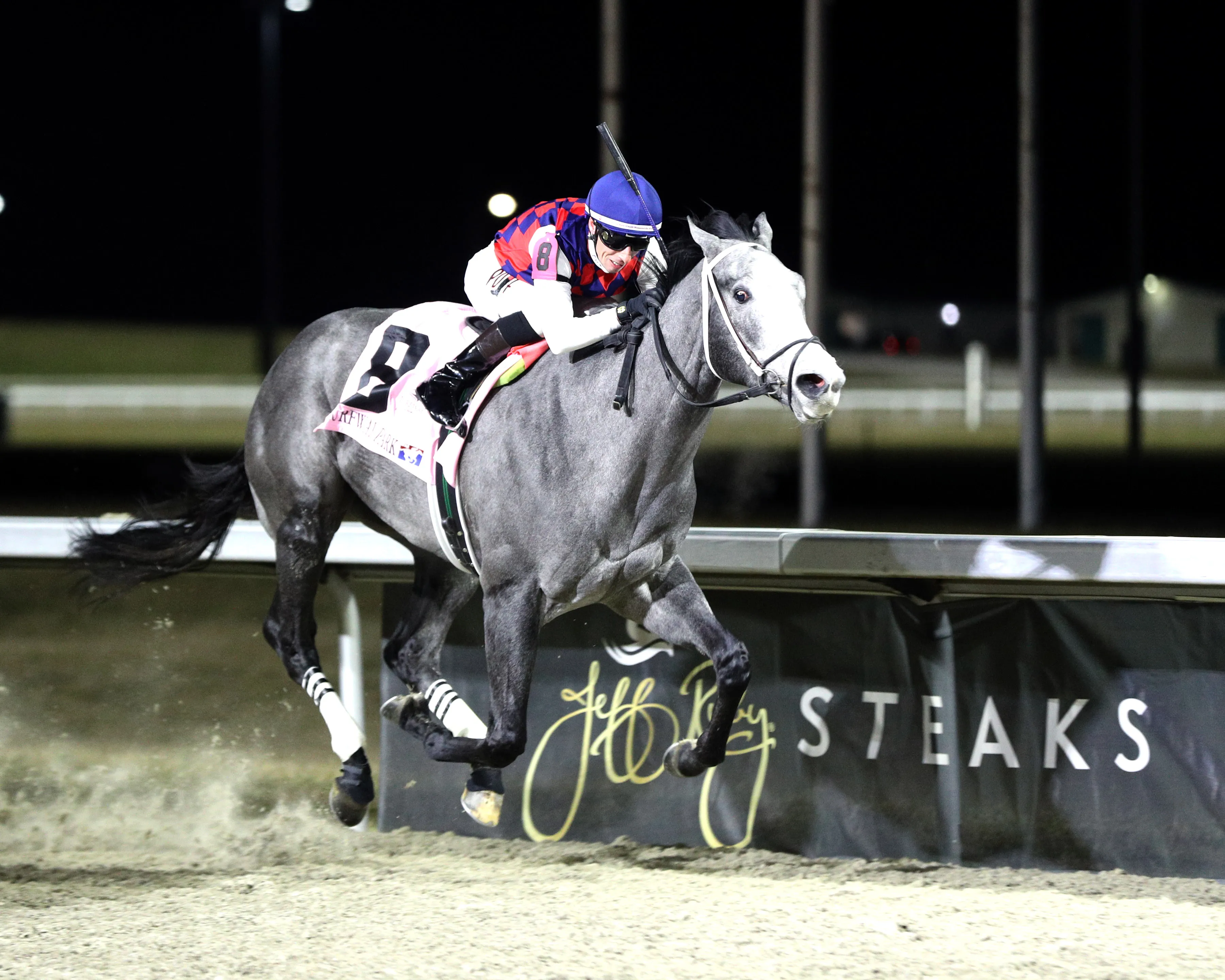 GREAT WHITE - The John Battaglia Memorial 44th Running - 02-21-26 - R09 - Turfway Park - Finish 02 - Ashliegh Schlitt.jpg