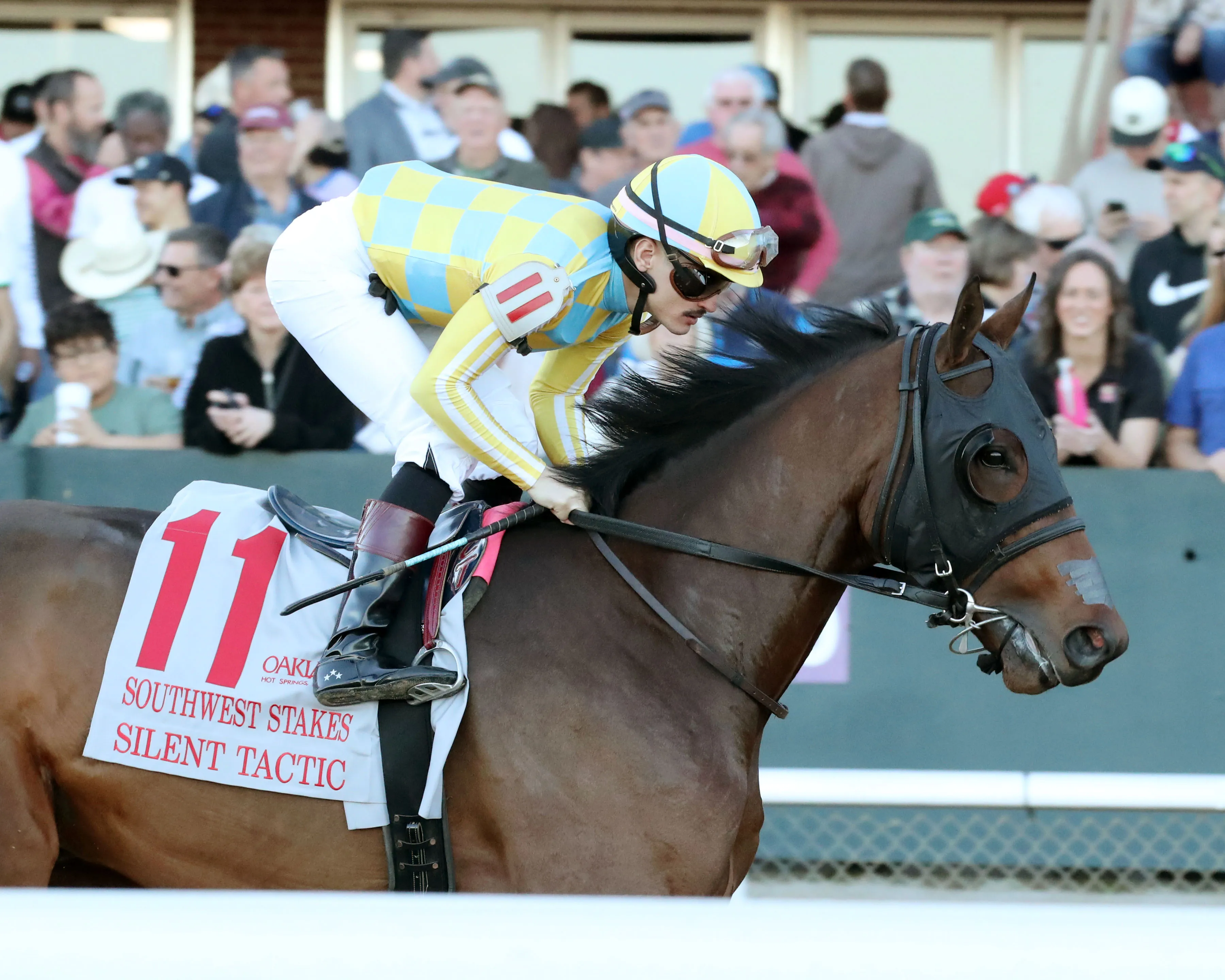 SILENT TACTIC - The Southwest Stakes G3 - 02-06-26 - R11 - Oaklawn Park - Post Parade 05 - Renee Torbit.jpg