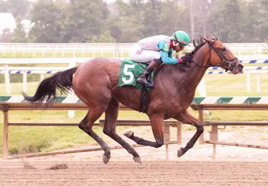Ness sends out Sassafrassness with milestone on horizon